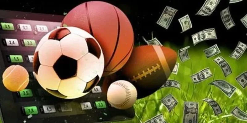 Giao diện đặt cược Giao diện đặt cược